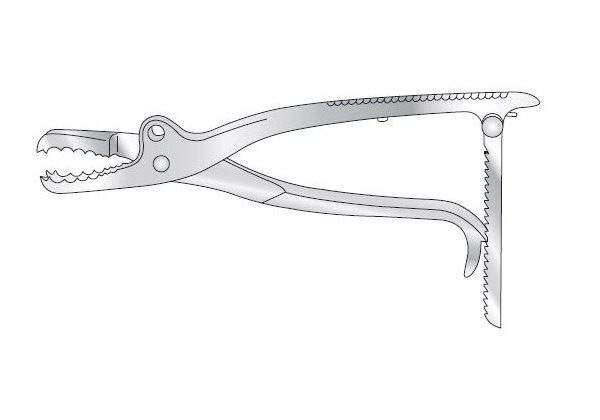 Bone Holding Forceps