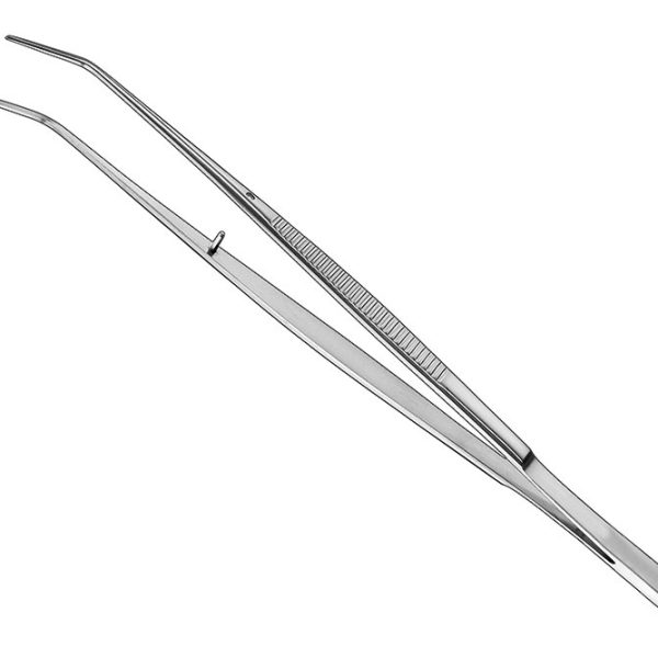 Cotton Forceps