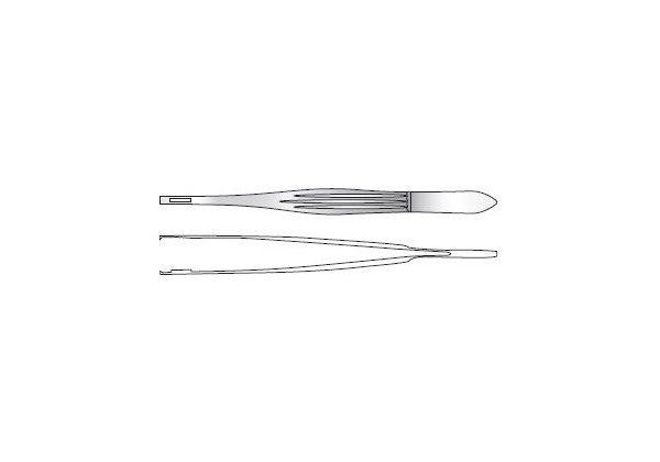 Dissecting Forceps