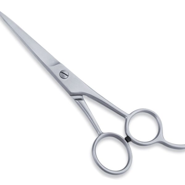 Economy Hair Scissors