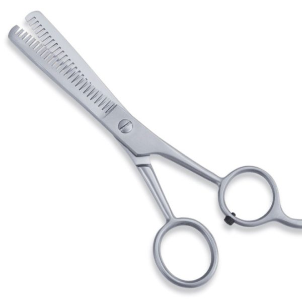 Economy Hair Thinning Scissors