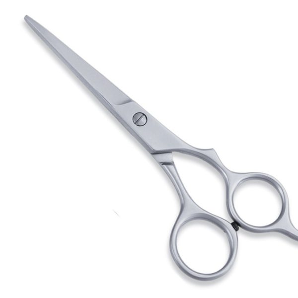 Economy Hair Scissors
