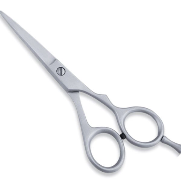 Economy Hair Scissors