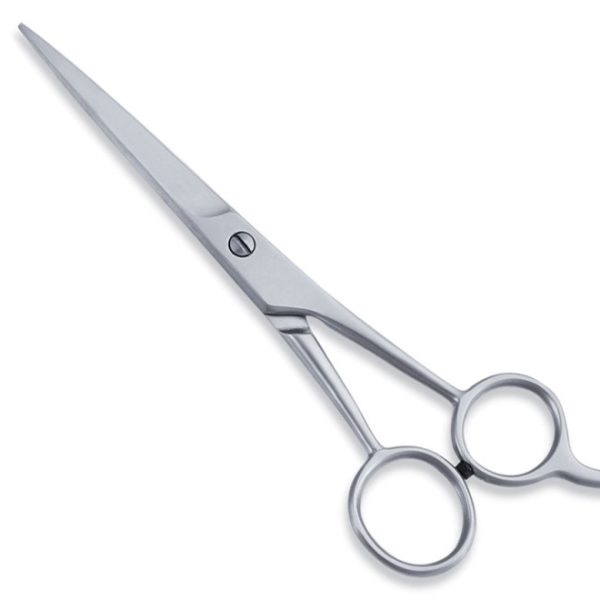 Economy Hair Scissors