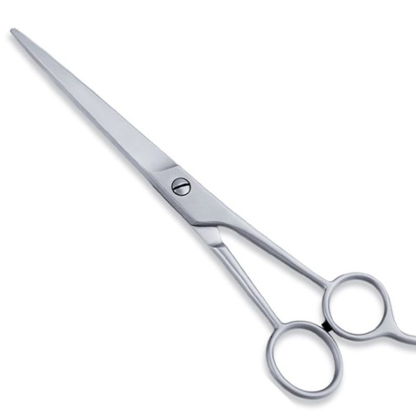 Economy Hair Scissors