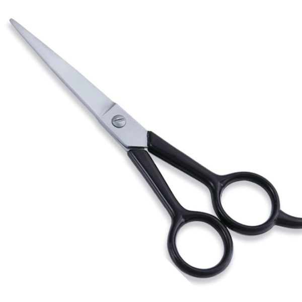 Economy Hair Scissors
