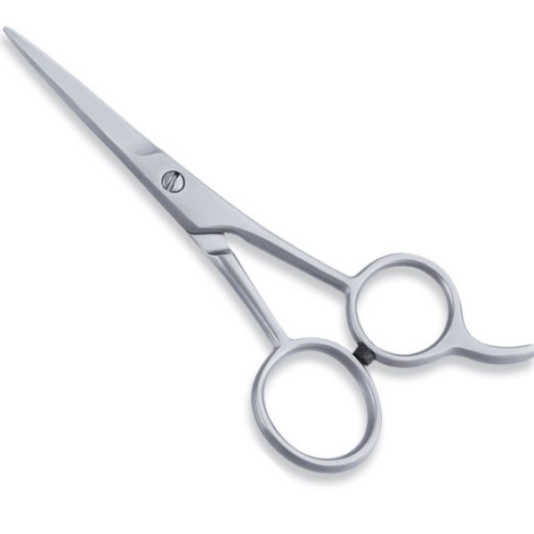 Economy Hair Scissors