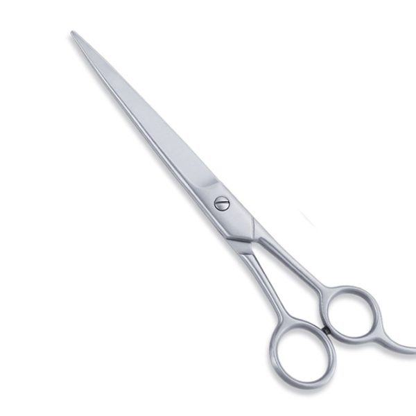 Economy Hair Scissors