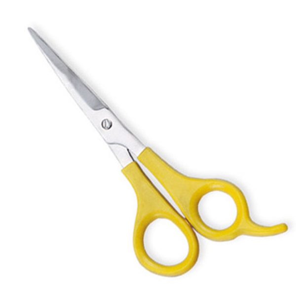 Economy Hair Scissors