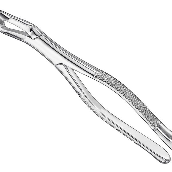 Extracting Forceps American Pattern