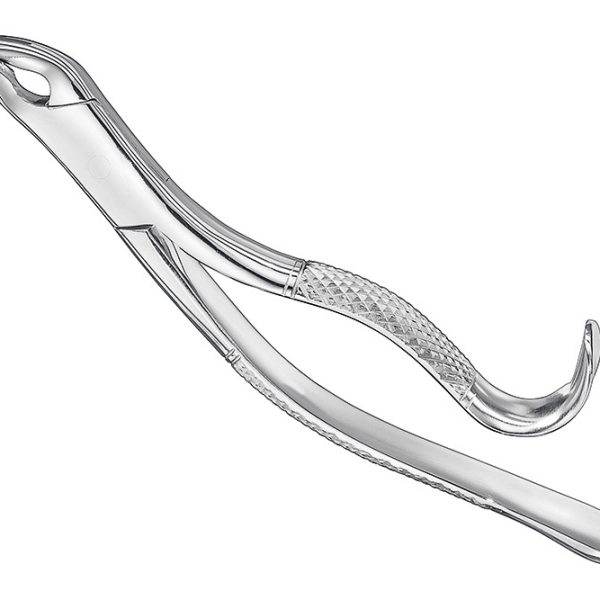Extracting Forceps American Pattern