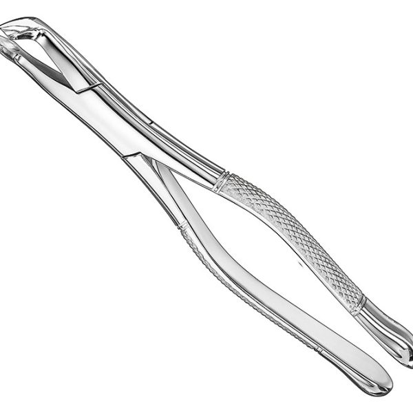 Extracting Forceps American Pattern