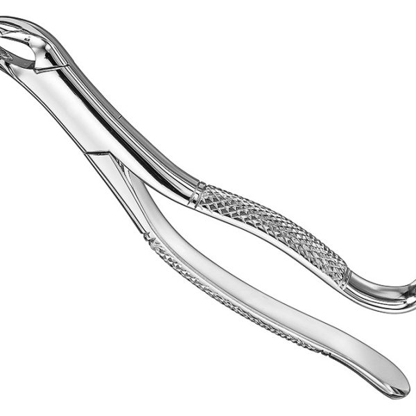 Extracting Forceps American Pattern
