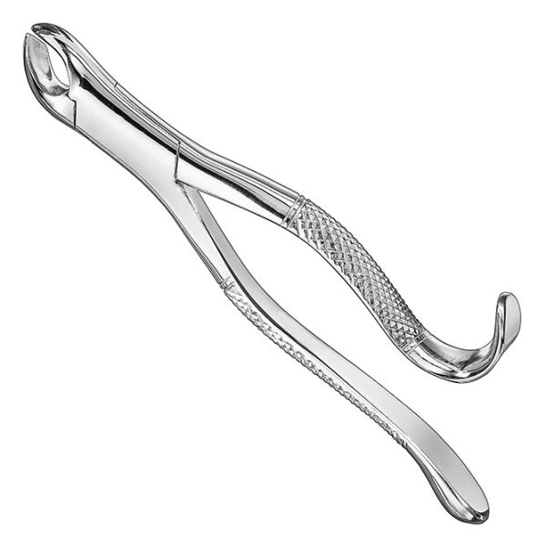 Extracting Forceps American Pattern