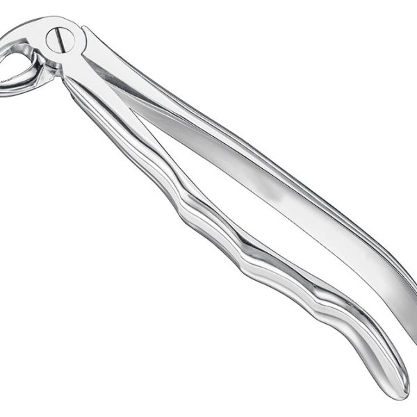 Extracting Forceps Anatomically Shaped Handle Standard