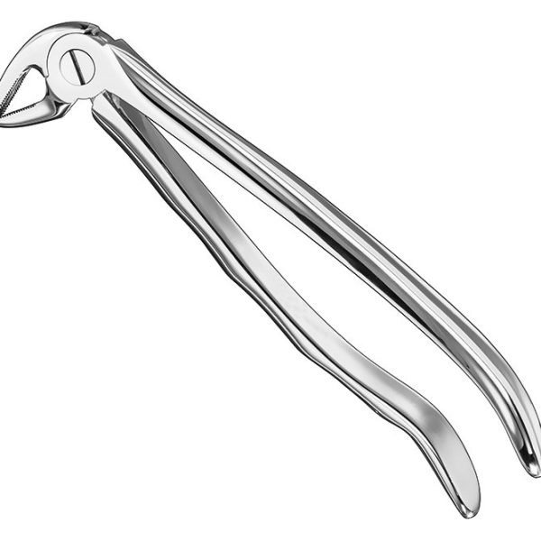 Extracting Forceps Anatomically Shaped Handle Standard