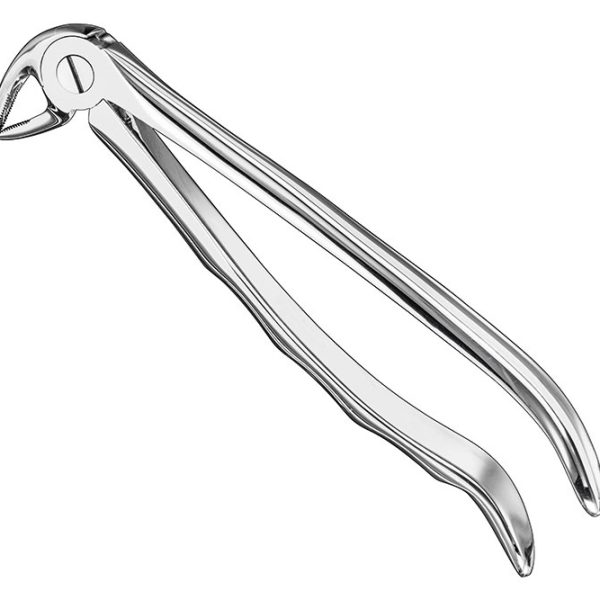 Extracting Forceps Anatomically Shaped Handle Standard