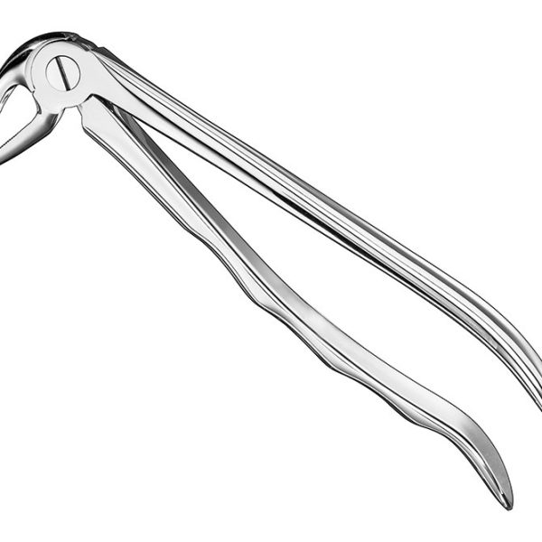 Extracting Forceps Anatomically Shaped Handle Standard