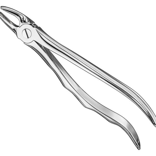 Extracting Forceps Anatomically Shaped Handle Standard