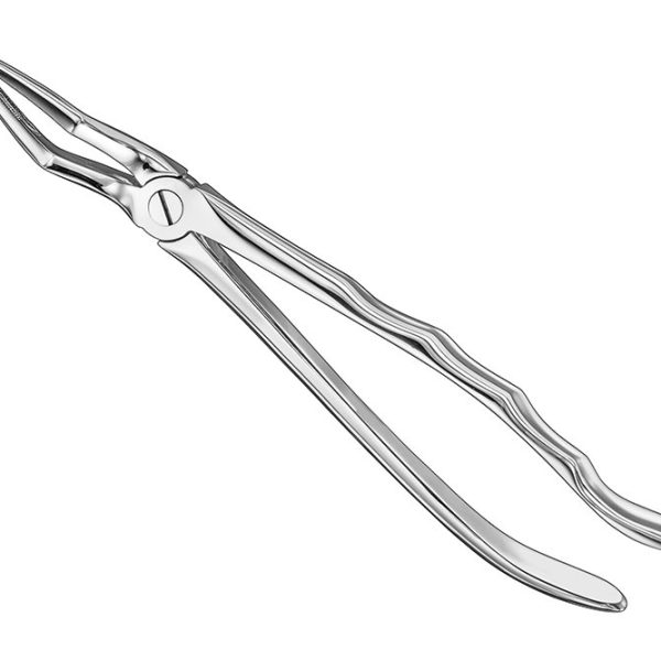 Extracting Forceps Anatomically Shaped Handle Standard