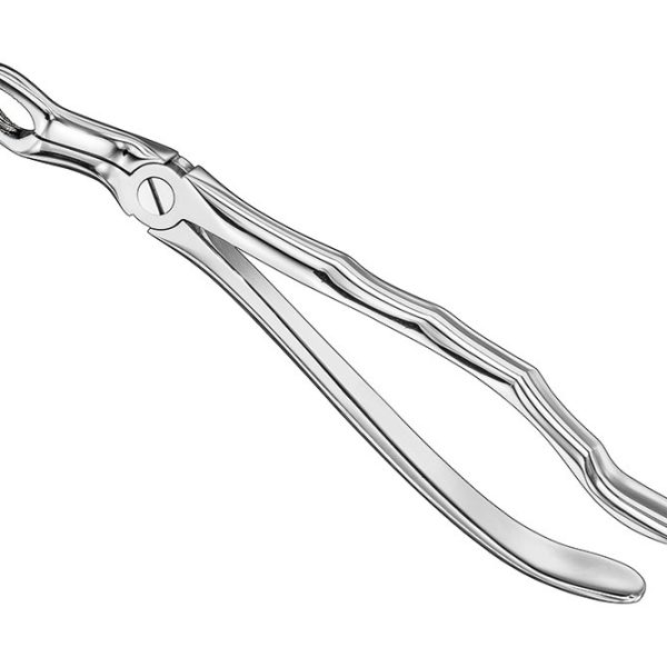 Extracting Forceps Anatomically Shaped Handle Standard