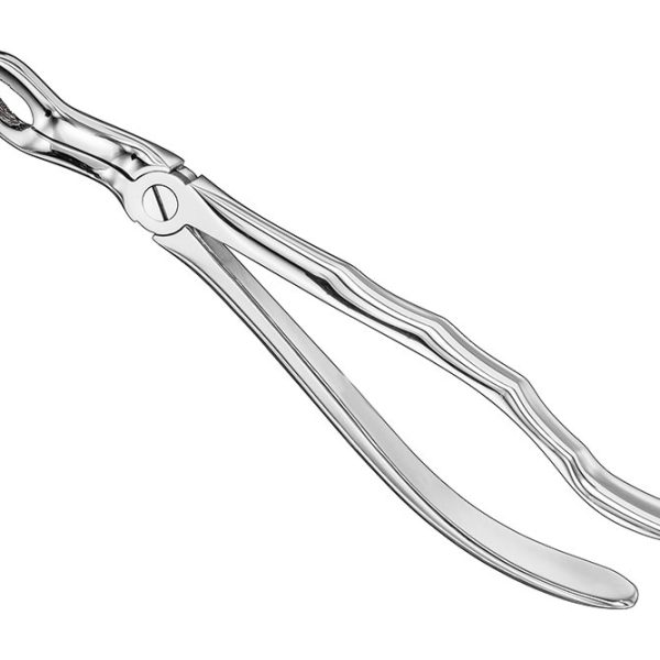Extracting Forceps Anatomically Shaped Handle Standard