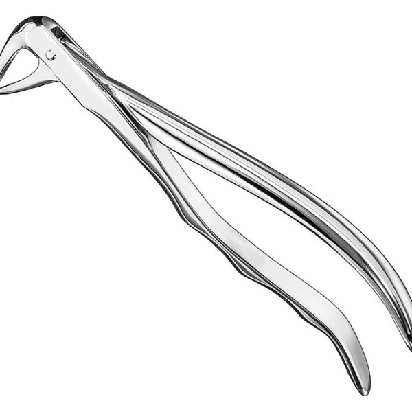 Extracting Forceps Anatomically Shaped Handle Standard