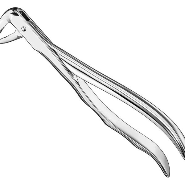 Extracting Forceps Anatomically Shaped Handle Standard