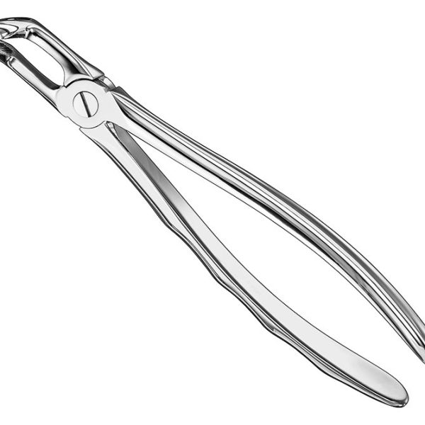 Extracting Forceps Anatomically Shaped Handle Standard