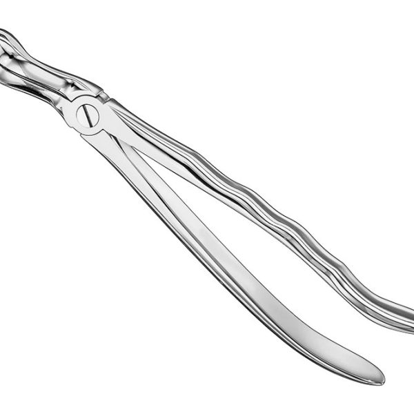 Extracting Forceps Anatomically Shaped Handle Standard