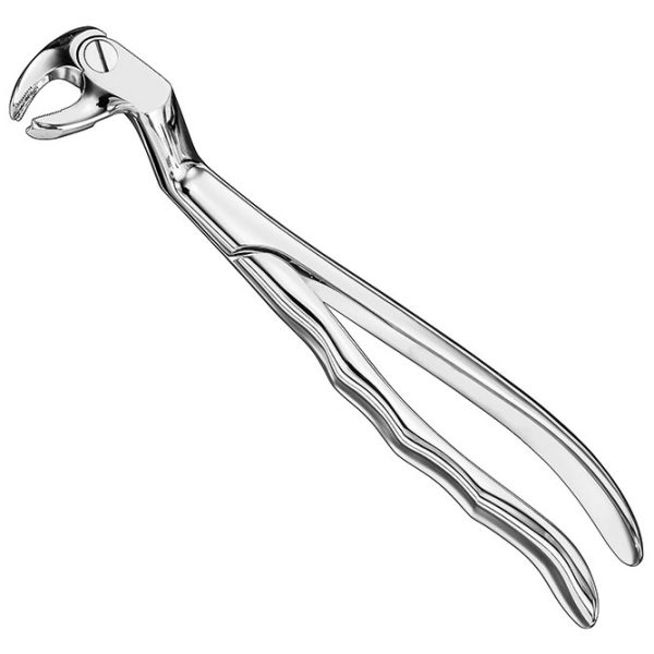 Extracting Forceps Anatomically Shaped Handle Standard