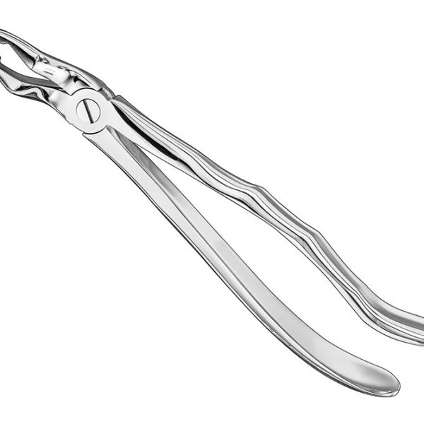 Extracting Forceps Anatomically Shaped Handle Standard