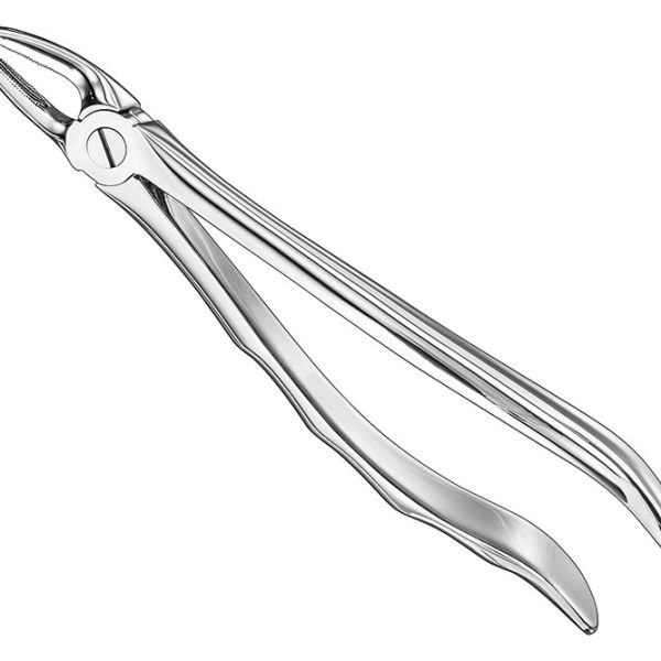 Extracting Forceps Anatomically Shaped Handle Standard