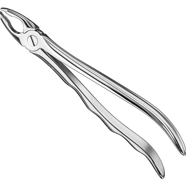 Extracting Forceps Anatomically Shaped Handle Standard