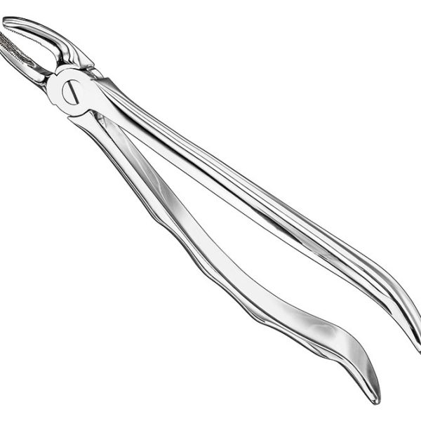 Extracting Forceps Anatomically Shaped Handle Standard