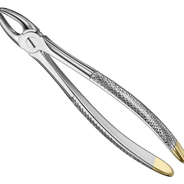 Extracting Forceps English Pattern Diamantiert