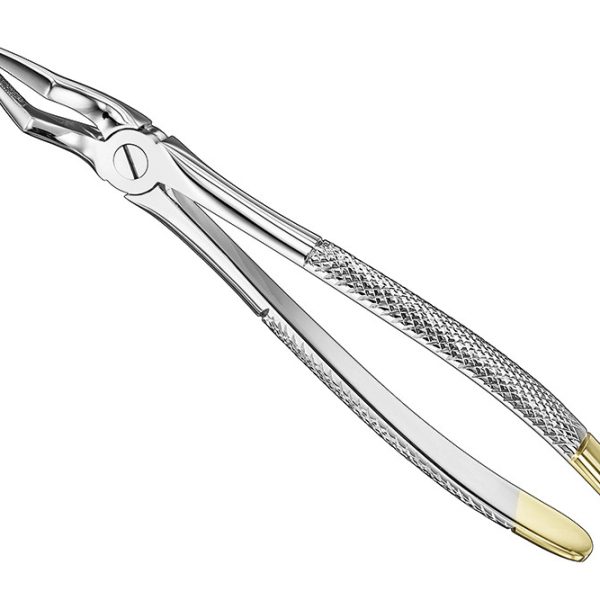 Extracting Forceps English Pattern Diamantiert