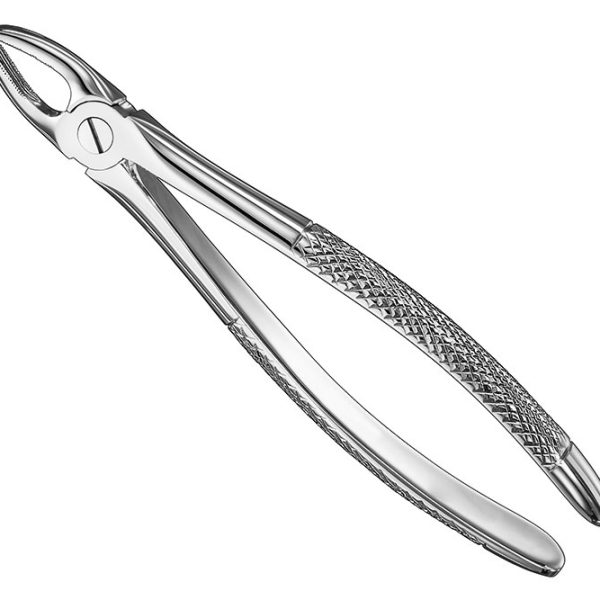 Extracting Forceps English Pattern Standard