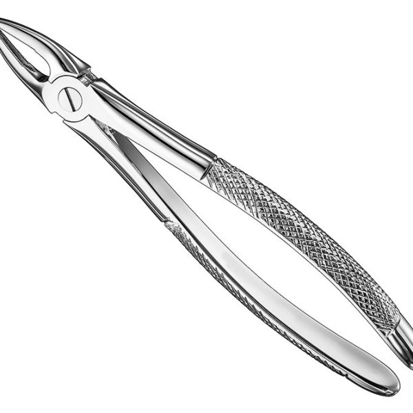 Extracting Forceps English Pattern Standard
