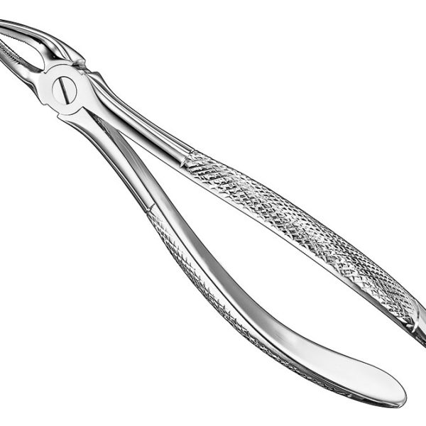 Extracting Forceps English Pattern Standard