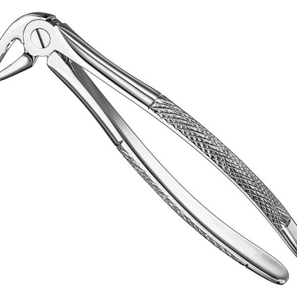 Extracting Forceps English Pattern Standard