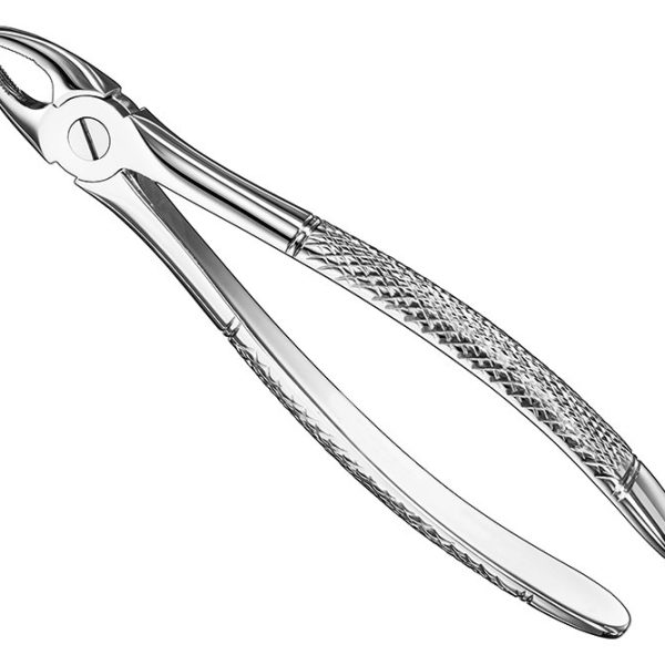 Extracting Forceps English Pattern Standard