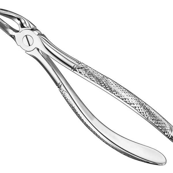 Extracting Forceps English Pattern Standard