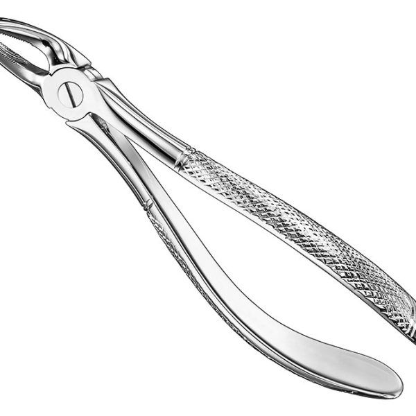 Extracting Forceps English Pattern Standard
