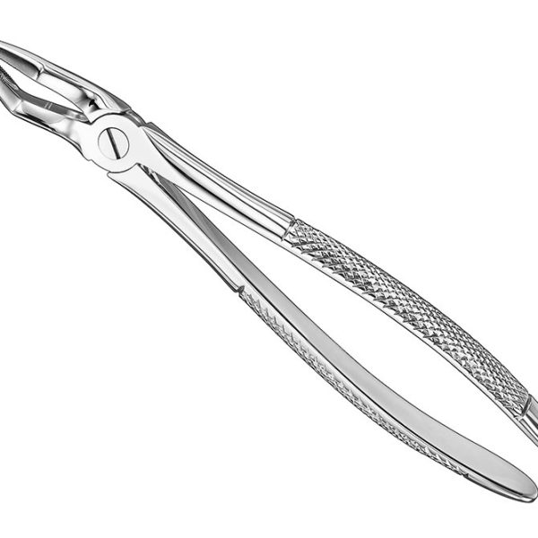 Extracting Forceps English Pattern Standard