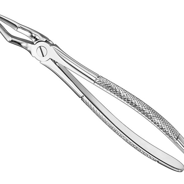 Extracting Forceps English Pattern Standard