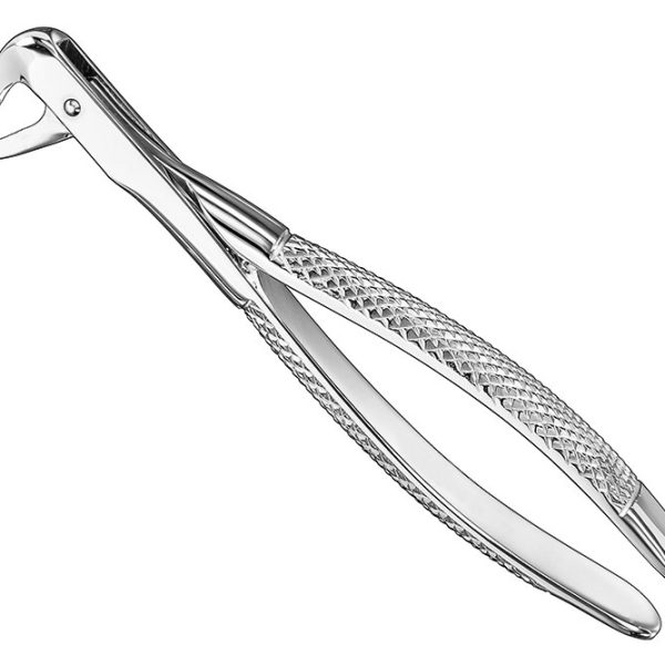 Extracting Forceps English Pattern Standard