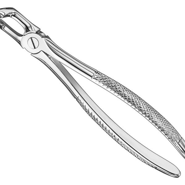 Extracting Forceps English Pattern Standard