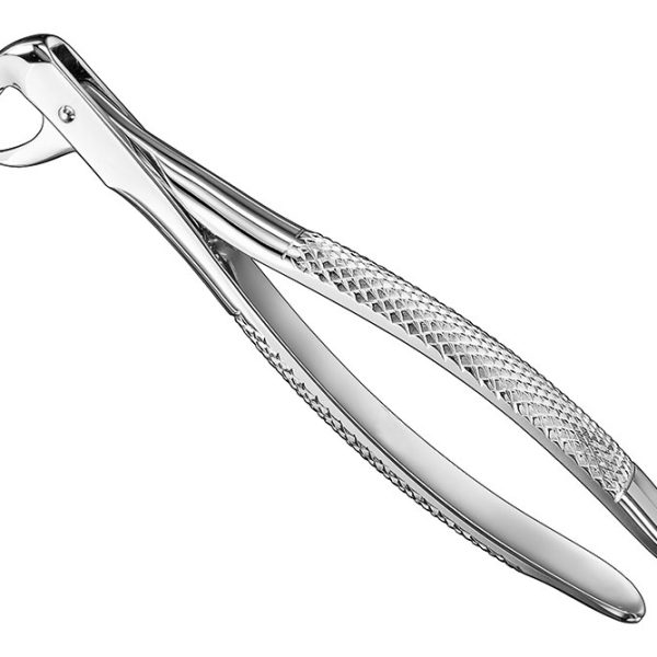 Extracting Forceps English Pattern Standard
