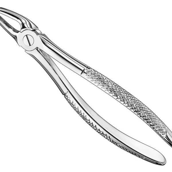 Extracting Forceps English Pattern Standard
